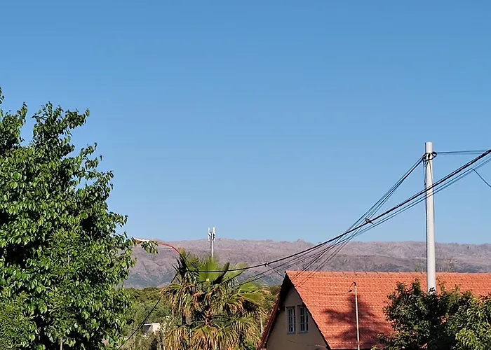 La Mora Departamento